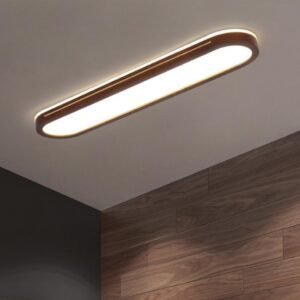 Contemporary Oval Beam Ceiling Light Kitchen