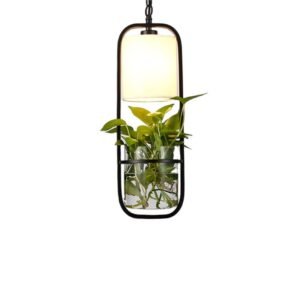 Modern Floating Garden Pendant Light Dining Room