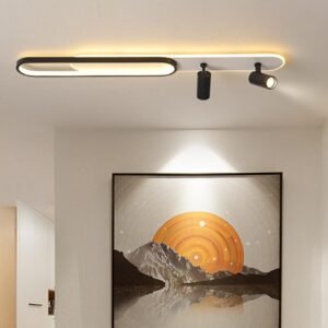 Modern Oval Streamline Ceiling Light Living Room