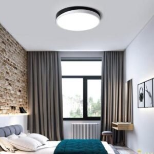 Modern Yin Yang Disc Ceiling Light Bedroom