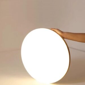 Scandinavian Luminous Disc Ceiling Light Living Room